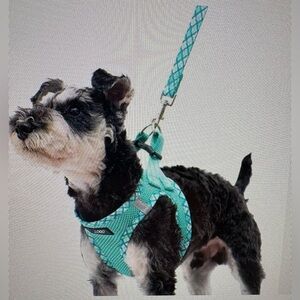 Aqua Dog Harness and Leash Set